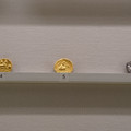 DSC03750.JPG