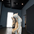 DSC03865.JPG