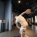 DSC03877.JPG