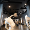 DSC03878.JPG