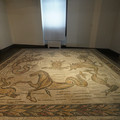 DSC03992.JPG