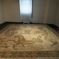 DSC03994.JPG