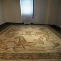 DSC03995.JPG