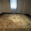 DSC03996.JPG