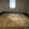 DSC03997.JPG