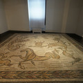 DSC04000.JPG