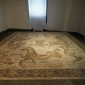DSC04001.JPG