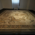 DSC04003.JPG