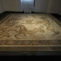 DSC04004.JPG