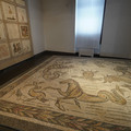 DSC04005.JPG