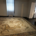 DSC04006.JPG