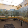 DSC04010.JPG