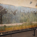 DSC04015.JPG