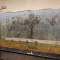 DSC04017.JPG
