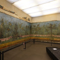 DSC04025.JPG