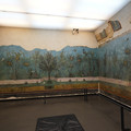 DSC04034.JPG