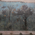 DSC04036.JPG