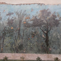 DSC04037.JPG