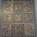 DSC04110.JPG