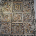 DSC04111.JPG