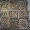 DSC04112.JPG