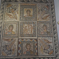 DSC04113.JPG