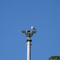 DSC04134.JPG