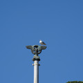 DSC04138.JPG