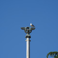 DSC04140.JPG