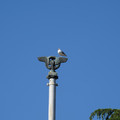 DSC04141.JPG