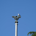 DSC04143.JPG