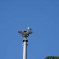 DSC04144.JPG