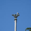 DSC04146.JPG