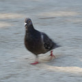 DSC04150.JPG