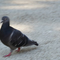 DSC04151.JPG
