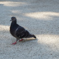 DSC04152.JPG