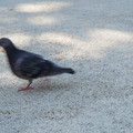 DSC04153.JPG