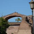DSC04154.JPG