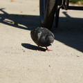 DSC04162.JPG