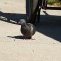 DSC04163.JPG