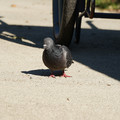DSC04164.JPG