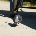 DSC04167.JPG