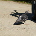 DSC04169.JPG