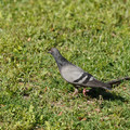 DSC04171.JPG