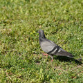DSC04172.JPG