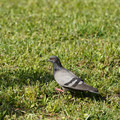 DSC04175.JPG