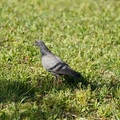 DSC04177.JPG
