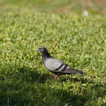 DSC04178.JPG