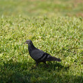 DSC04179.JPG