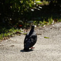 DSC04182.JPG